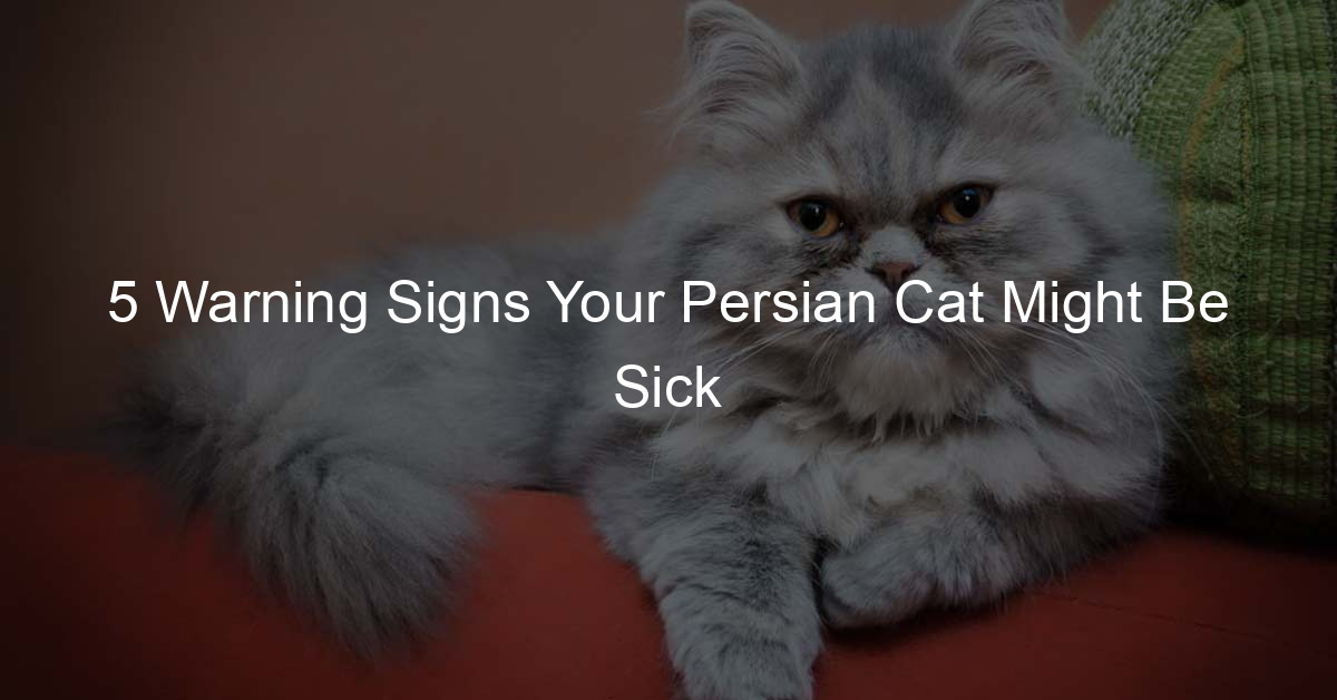 5 Warning Signs Your Persian Cat Might Be Sick 682 